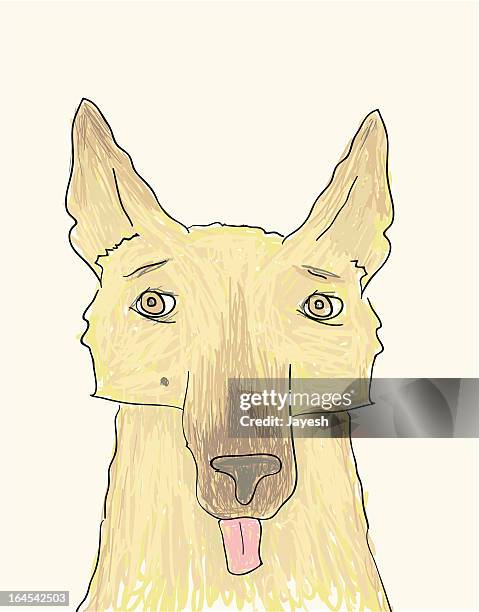 kim - german shepherd stock illustrations