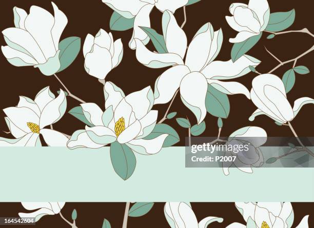 ilustrações de stock, clip art, desenhos animados e ícones de magnólia de fundo - magnolia