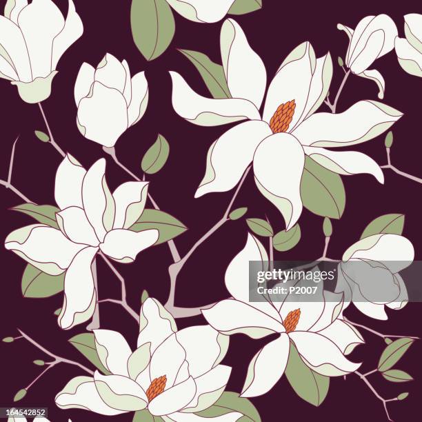 stockillustraties, clipart, cartoons en iconen met seamless magnolia background - magnolia stellata