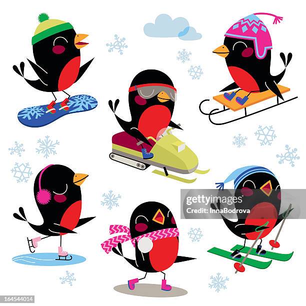 vögel wintersport. - ski humour stock-grafiken, -clipart, -cartoons und -symbole