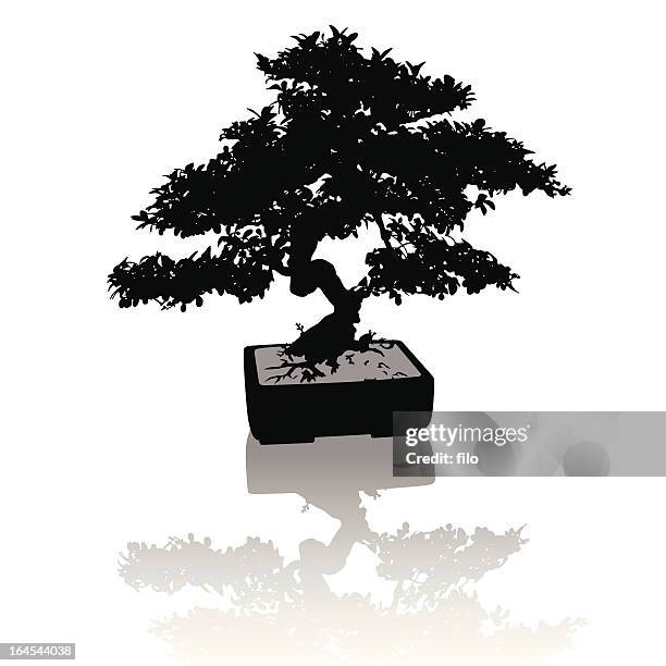 bonsai tree - bonsai tree stock illustrations