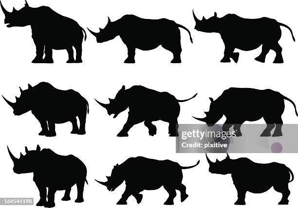 stockillustraties, clipart, cartoons en iconen met rhinoceros silhouettes - neushoorn