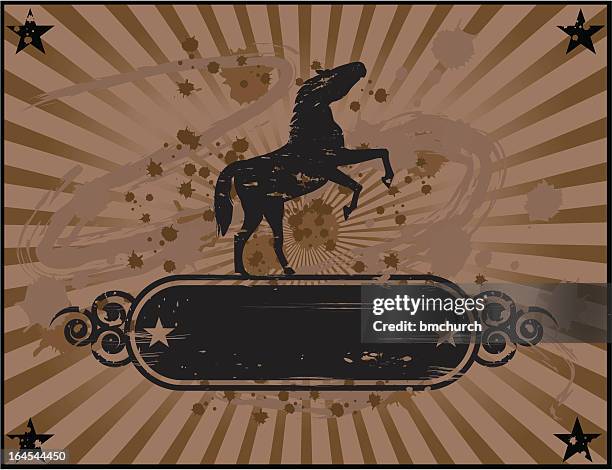 vintage wild horse design - rodeo stock illustrations