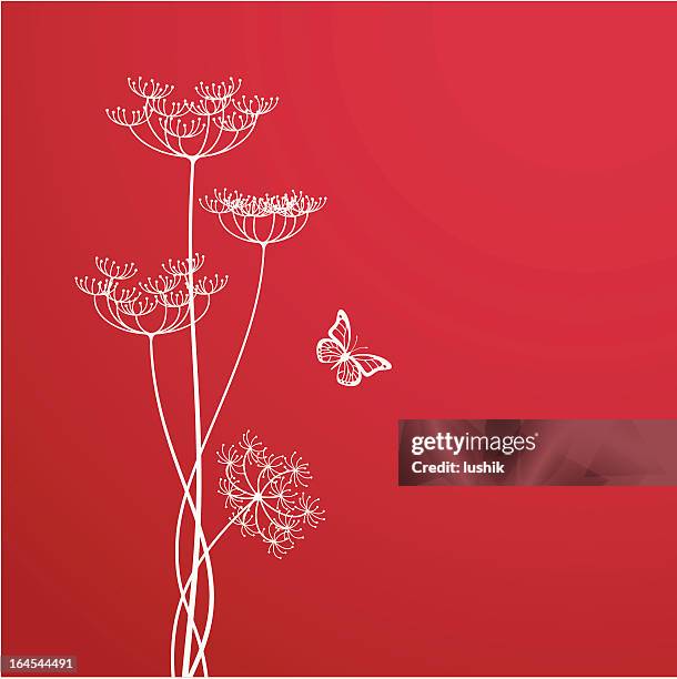 dill blossom - dill stock illustrations