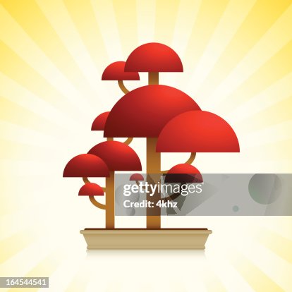Red Maple ( Bloodgood ) Bonsai Tree Red Maple ( Bloodgood ) Bonsai Tree