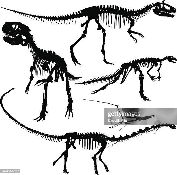 dinosaurier-silhouetten - velociraptor stock-grafiken, -clipart, -cartoons und -symbole