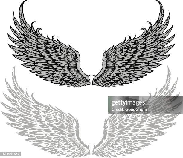 wings - angels crest stock illustrations