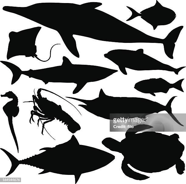 stockillustraties, clipart, cartoons en iconen met sealife silhouettes - marlin