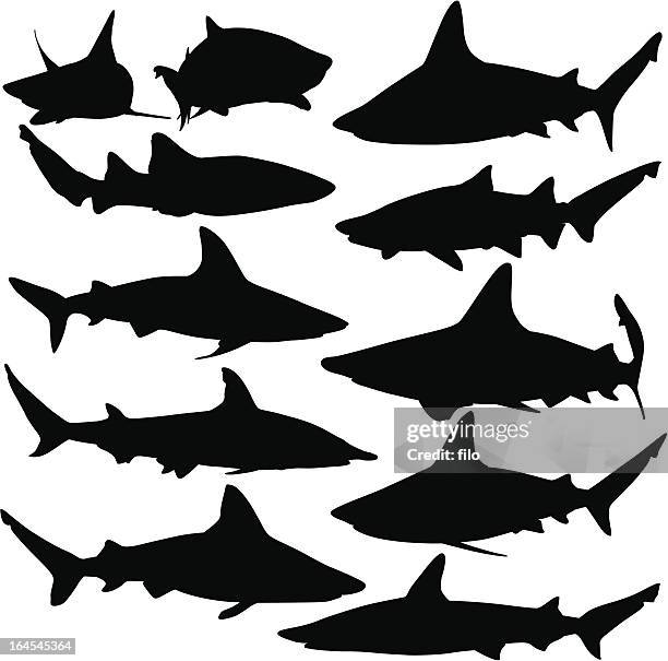 sharks - shark stock illustrations