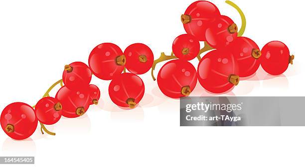 stockillustraties, clipart, cartoons en iconen met red currant - rode bes