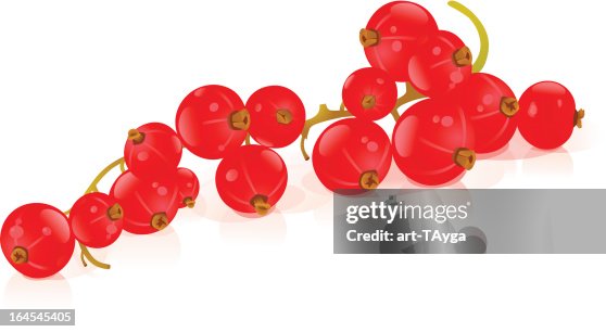Red currant Red currant