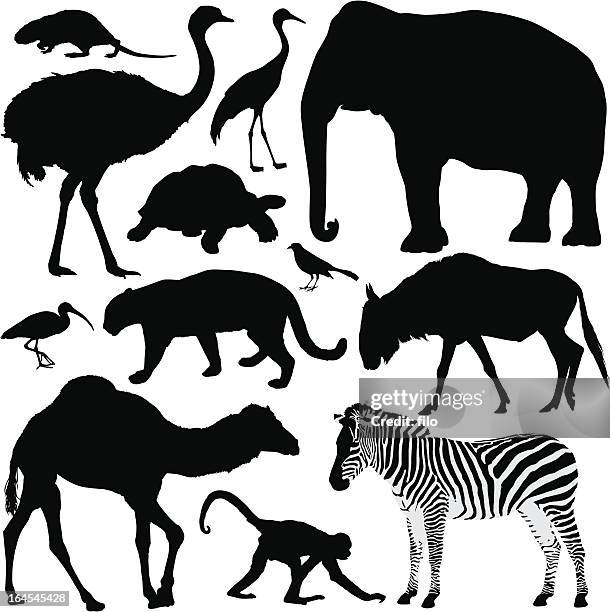 animal silhouettes - african chimpanzees stock illustrations