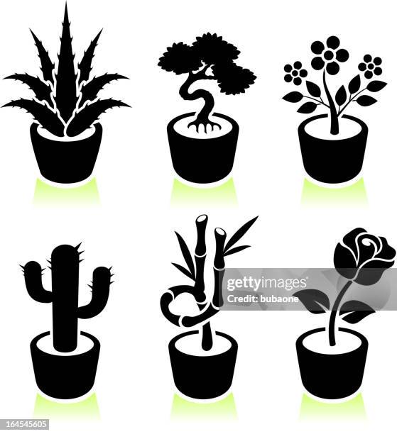 potted plants black & white royalty free vector icon set. - bamboo bonsai stock illustrations