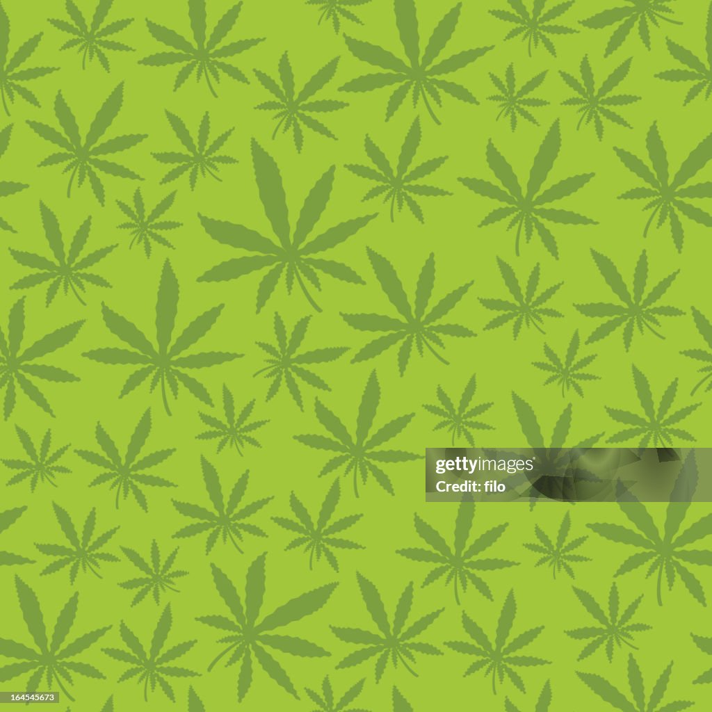 Marijuana sem costura folha