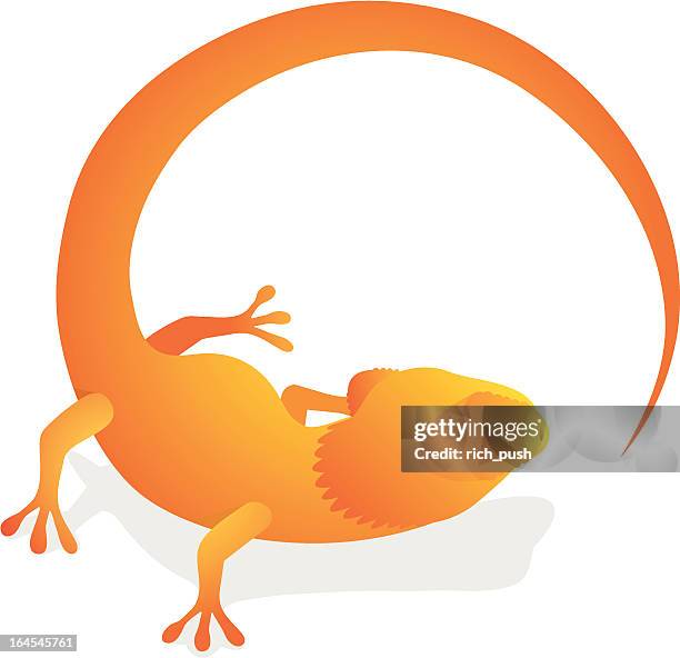 orange chameleon - chameleon stock illustrations