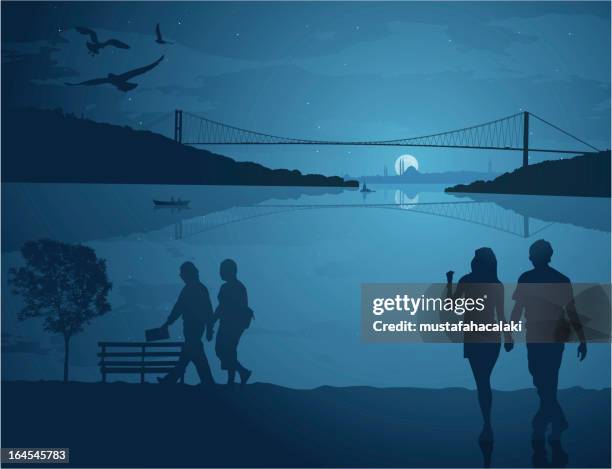 sommer nacht in istanbul - bosporus bucht goldenes horn istanbul stock-grafiken, -clipart, -cartoons und -symbole