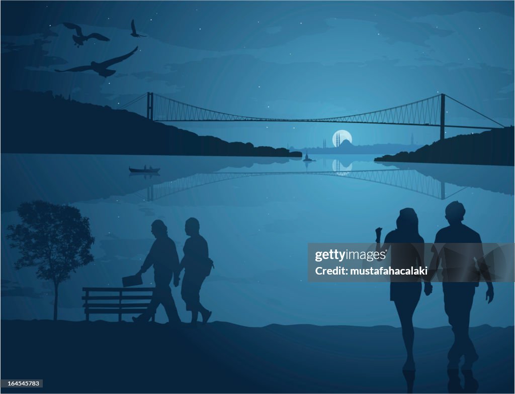 Summer night in Istanbul