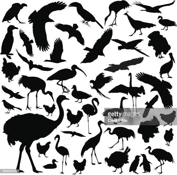 bird silhouettes - large group of animals stock illustrations