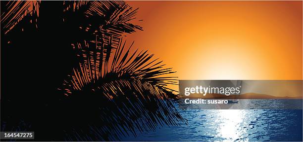 sunset - reflection water shadow stock illustrations
