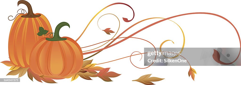 Fall Scroll Pattern Autumn Scrolls High-Res Vector Graphic - Getty Images