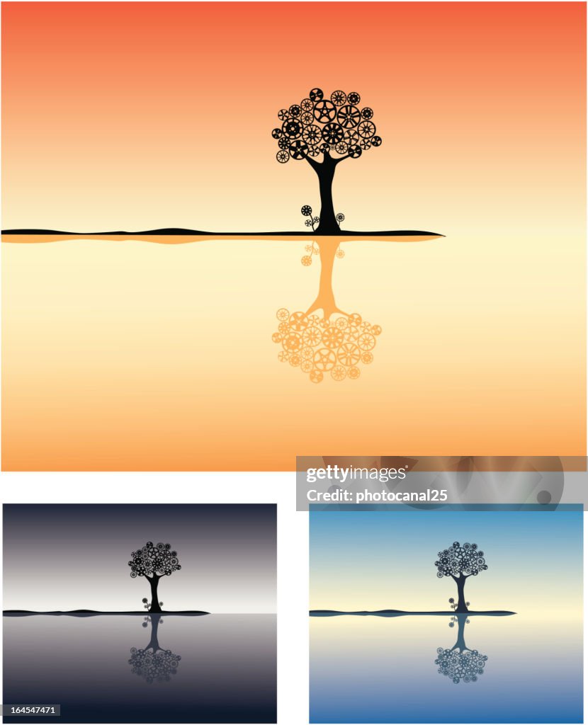 Wheel rims Tree Reflection