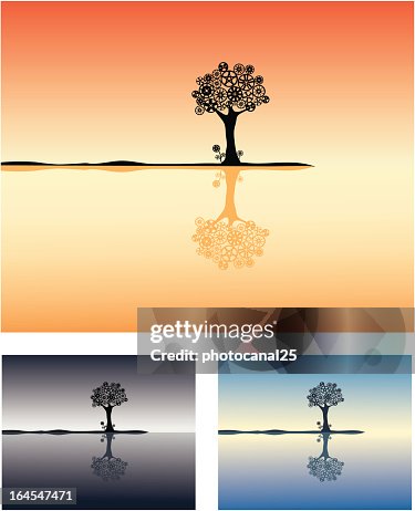 Wheel rims Tree Reflection Wheel rims Tree Reflection