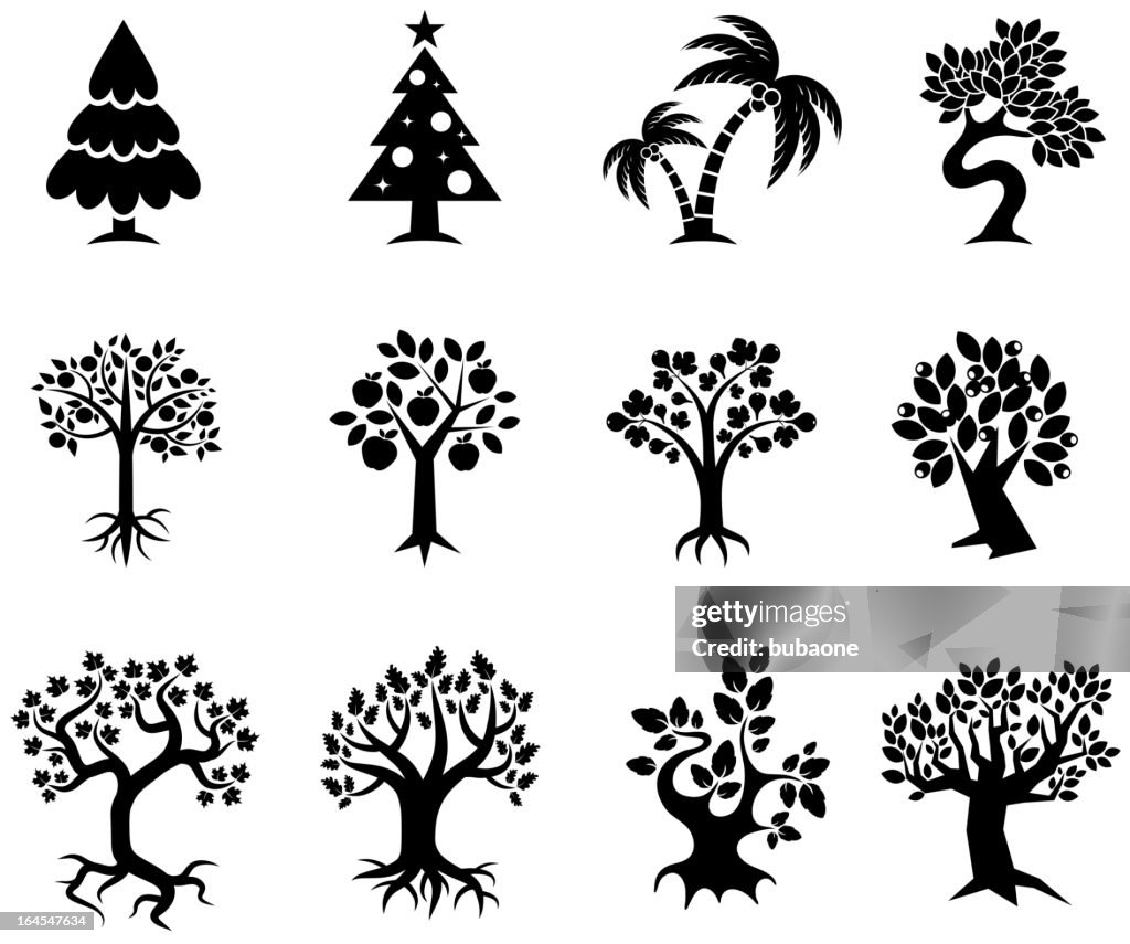 Tree collection black & white royalty free vector icon set