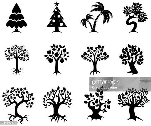 tree collection black & white royalty free vector icon set - orange tree stock illustrations