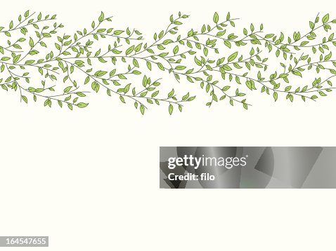 Leafy Background Leafy Background