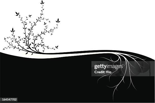 illustrazioni stock, clip art, cartoni animati e icone di tendenza di sopra e sotto - radice