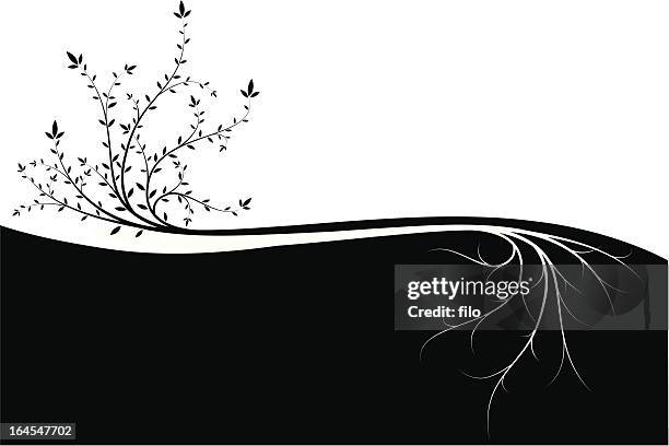 above and below - tree roots stock illustrations
