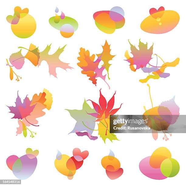 herbst design-elemente - amerikanische linde stock-grafiken, -clipart, -cartoons und -symbole