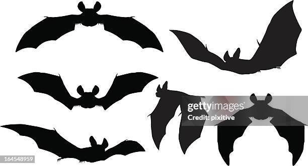 illustrations, cliparts, dessins animés et icônes de bats des silhouettes - chauve souris