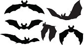 Bats Silhouettes