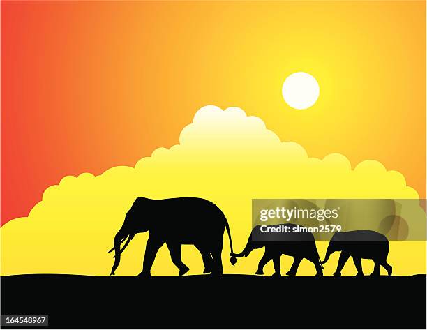safari and sunset - elephants sunset stock illustrations