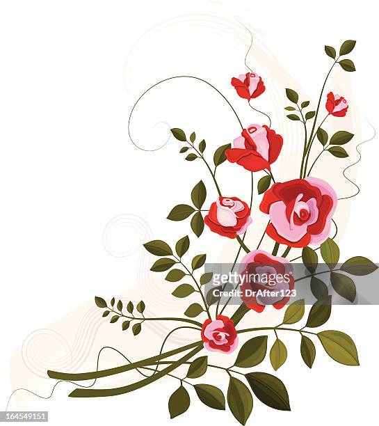 red and pink roses corner vine - flower corner stock illustrations