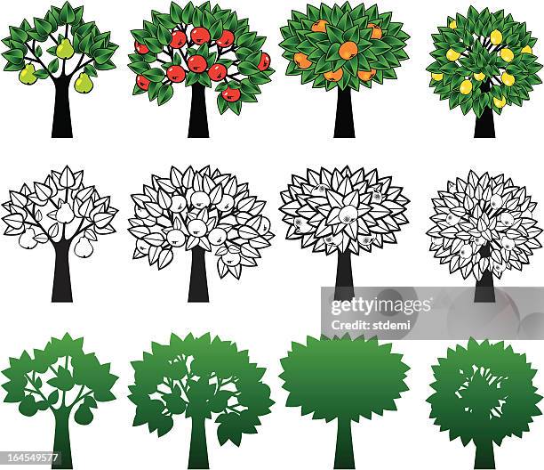 trees - orange tree stock illustrations