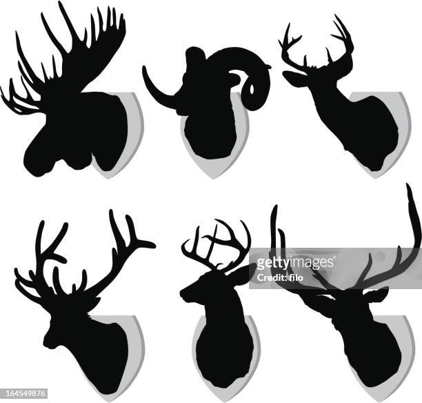 mounted animals - ram animal stock illustrations