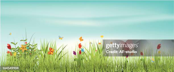 meadow - summer field stock illustrations