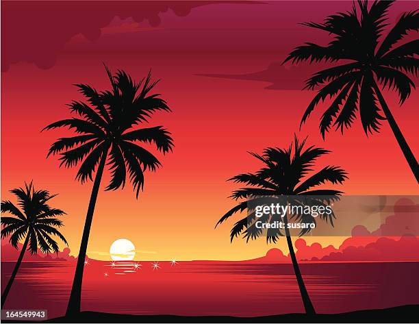 stockillustraties, clipart, cartoons en iconen met sunset illustration - palm sunday