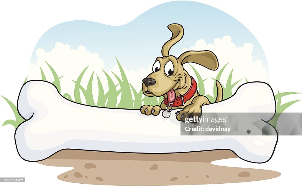 Dog Bone