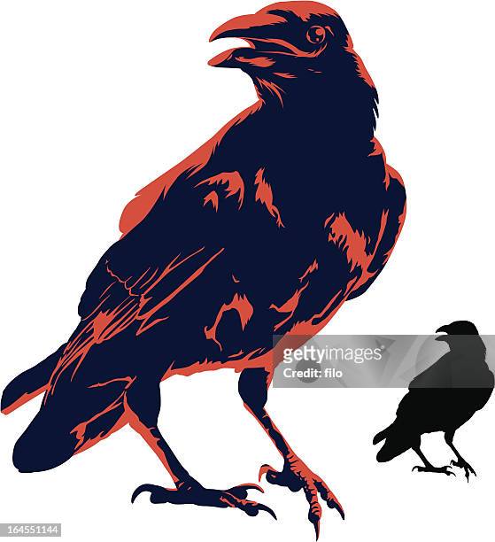 the crow - perch stock illustrations