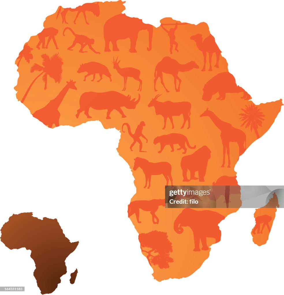 アフリカの動物