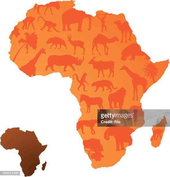 african animals - african chimpanzees stock illustrations