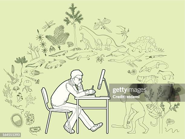 ilustraciones, imágenes clip art, dibujos animados e iconos de stock de biología - arqueoptérix