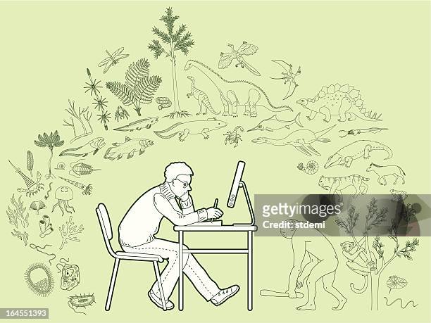 biology - fern fossil stock illustrations