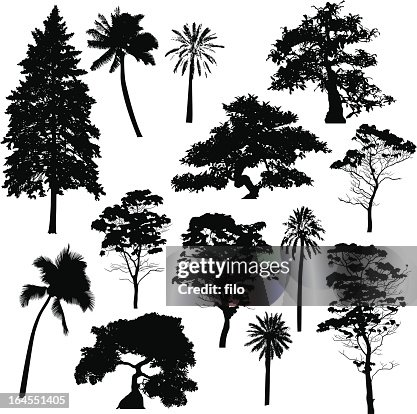 Tree Silhouette Collection Tree Silhouette Collection
