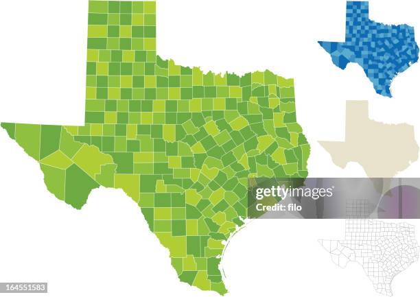 stockillustraties, clipart, cartoons en iconen met texas county map - het zuiden van de verenigde staten