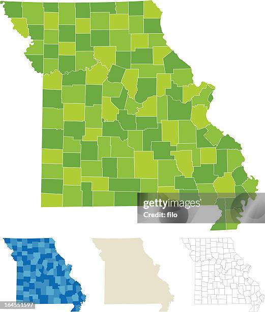 missouri county map - missouri stock illustrations