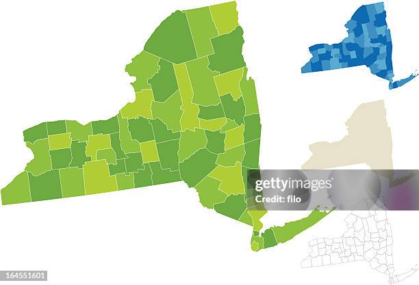 illustrazioni stock, clip art, cartoni animati e icone di tendenza di contea di mappa new york - new york stato